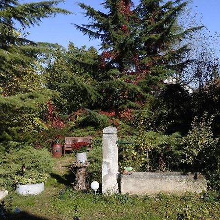 Villa-Magdi Vendeghaz Revfulop Ngoại thất bức ảnh
