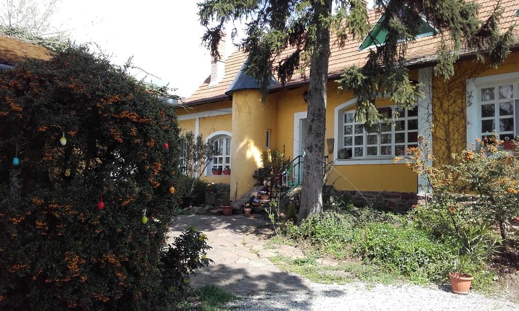 Villa-Magdi Vendeghaz Revfulop Ngoại thất bức ảnh