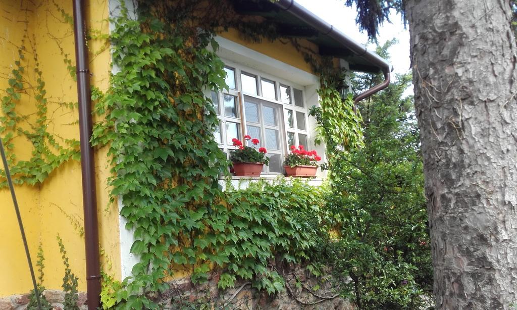 Villa-Magdi Vendeghaz Revfulop Ngoại thất bức ảnh