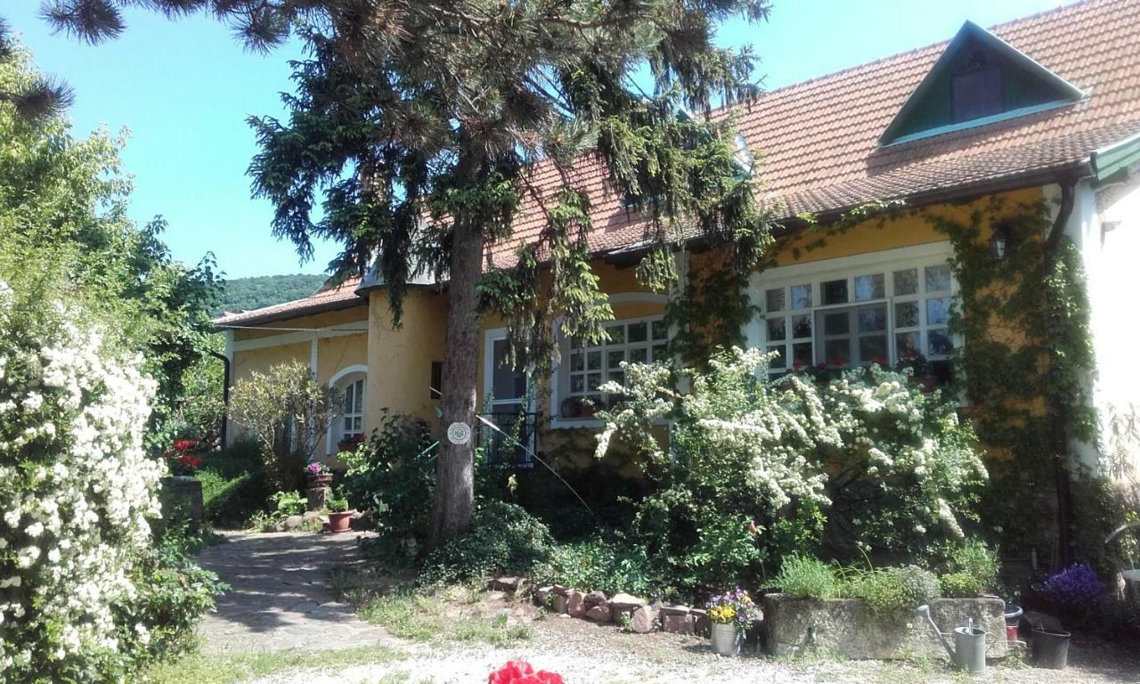 Villa-Magdi Vendeghaz Revfulop Ngoại thất bức ảnh