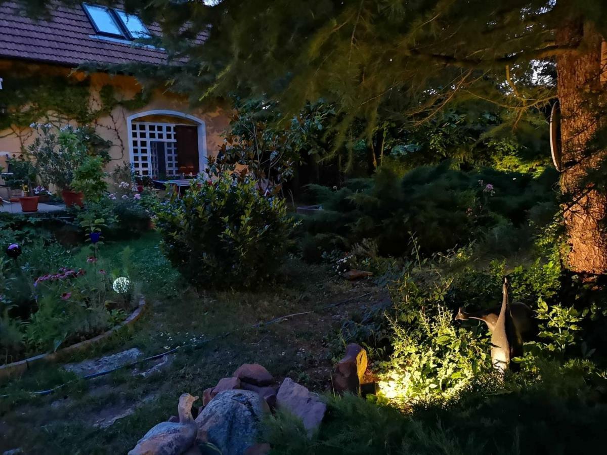 Villa-Magdi Vendeghaz Revfulop Ngoại thất bức ảnh