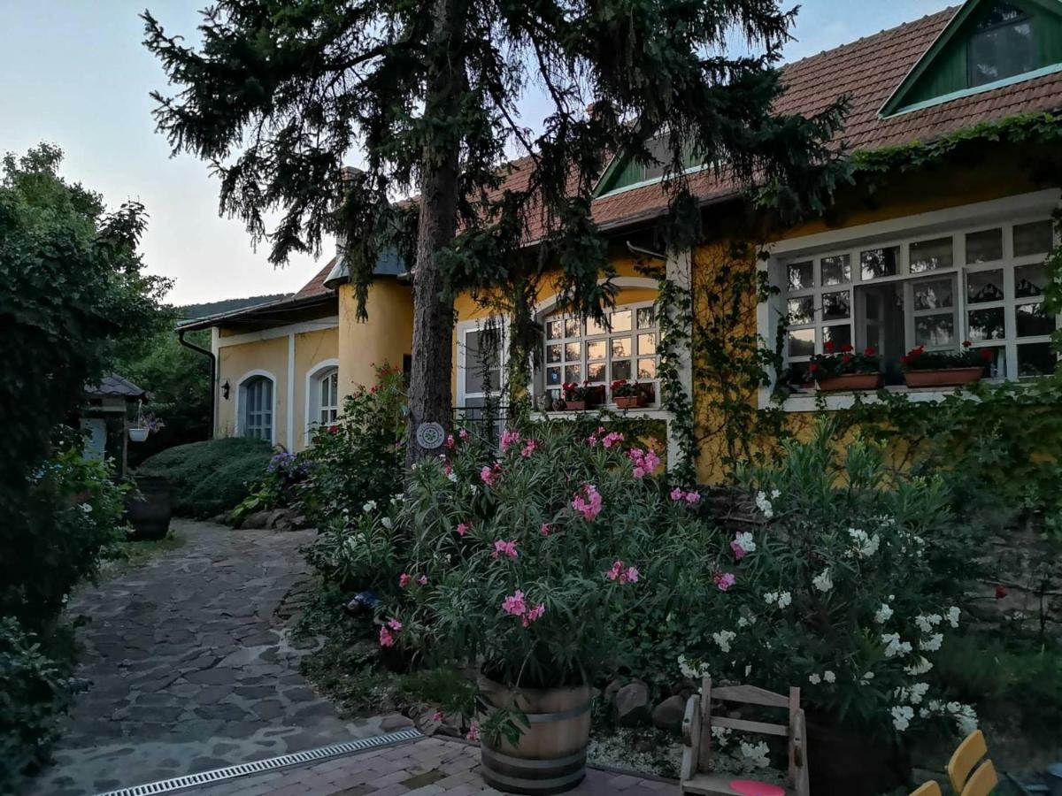 Villa-Magdi Vendeghaz Revfulop Ngoại thất bức ảnh